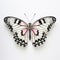 Elegant Pink And White Butterfly On Blank White Background
