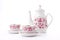 Elegant porcelain tea set