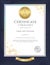 Elegant portrait certificate template for excellence, achievement