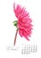 Elegant printable calendar 2019. October. Watercolor pink Dahlia. Botanical art. Template for a banner, notebook
