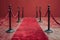 Elegant Red Carpet Entrance with Velvet Ropes. Concept Event Planning, Red Carpet Theme, VIP