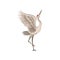 Elegant red-crowned crane standing on one leg with wide open wings. Wild bird with long beak. Flat vector icon