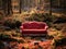 Elegant red victorian couch abandoned in the forest in dense vegetation. Autumn dead leaves background.