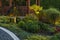 Elegant Residential Driveway Illuminated by Warm Outdoor Lighting