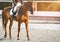 Elegant rider woman and sorrel horse. Beautiful girl at advanced dressage test on equestrian competition.