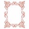 Elegant Rose Pattern In Pink Baroque Frame