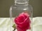 Elegant Roses Encased: Captivating Glass Jar Floral Art