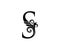 Elegant S Letter Swirl Logo. Black S With Classy Leaves Shape design