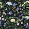 Elegant seamless pattern with gorgeous blooming wild flowers and beautiful flowering herbs on black background