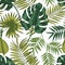 Elegant seamless pattern with leaves of tropical rainforest plants on white background. Backdrop with jungle foliage