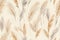 Elegant seamless pattern of pampas grass in neutral tones on a beige background, perfect for sophisticated wallpapers