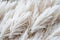 Elegant seamless pattern of pampas grass in neutral tones, perfect for sophisticated wallpapers and chic textile designs