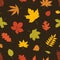 Elegant seasonal seamless pattern with autumn foliage of forest trees on black background. Motley botanical decorative