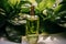 Elegant serum bottle nestled amid lush green foliage, radiating natural beauty