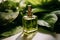 Elegant serum bottle nestled amid lush green foliage, radiating natural beauty