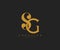 Elegant SG Letter Linked Monogram Logo Design