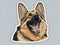 Elegant Simplicity: German Shepherd Contour Stickers with White Background