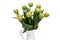 Elegant soft creamy yellow and green Verona tulips spring bouquet in white vase on white background. Spring tulips.