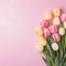 Elegant Spring Tulips: A Vibrant Bouquet in Harmonious Flat Lay