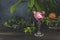 Elegant stemware glass of blood orange cocktail with big ice ball on dark wooden table surface