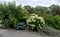 Elegant and stylish blooming terrace patch in a new housing estate