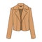 Elegant and stylish classic brown blazer/jacket