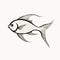 Elegant Stylized Fish Drawing With Minimalistic Details