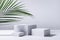 Elegant summer abstract white podiums in sunlight with shadow, green palm leaf on white background for product display.