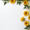 Elegant Sunflower Border Touch of Elegance