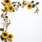 Elegant Sunflower Frame Crisp Copy Area