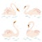 Elegant swans in pastel colors vector illustration