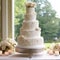 Elegant Tiered Wedding Cake with Intricate Lace Patterns