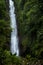 Elegant tropical high waterfall in wild green forest with powerful stream of water in sunbeams with water splashes and foliage.