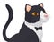 Elegant tuxedo cat with patch like a bow tie, Vector illustration