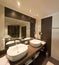 Elegant Washroom