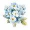 Elegant Watercolor Primrose Bouquet Illustration On White Background