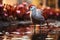 Elegant wetland inhabitant Actophilornis africanus, the graceful African Jacana