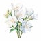 Elegant White Lily Watercolor Background With Realistic Detail