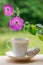 Elegant white porcelain Cup with a Saucer and beautiful violet Petunia flowers on a wooden Terrace against the background of