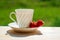 Elegant white porcelain Cup with a Saucer and Strawberries on a wooden Terrace against the background of Nature. Russian Imperial