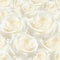 Elegant white seamless pattern luxurious rose