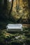 Elegant white victorian couch abandoned in the forest in dense vegetation. Autumn dead leaves background.