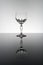 Elegant wine glass