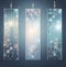 Elegant Winter Lighting Banners: Illuminate Your Space with Style