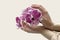 Elegant woman`s hands with orchid flower