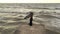 Elegant woman with scarf dancing on pier. Drone view. Sea with waves. Glamorous lady in black long dress