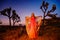 Elegant woman, wearing a fancy dress and standing like a fairy among the Joshua Trees at sunset