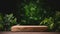 Elegant wooden podium on dark background with lush green leaves for award ceremonies