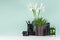 Elegant workplace with black stationery, books, coffee cup, green houseplant of aloe, fresh white iris bouquet, candlestick.