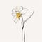 Elegant Yellow And White Ink Drawing Of A Daffodil